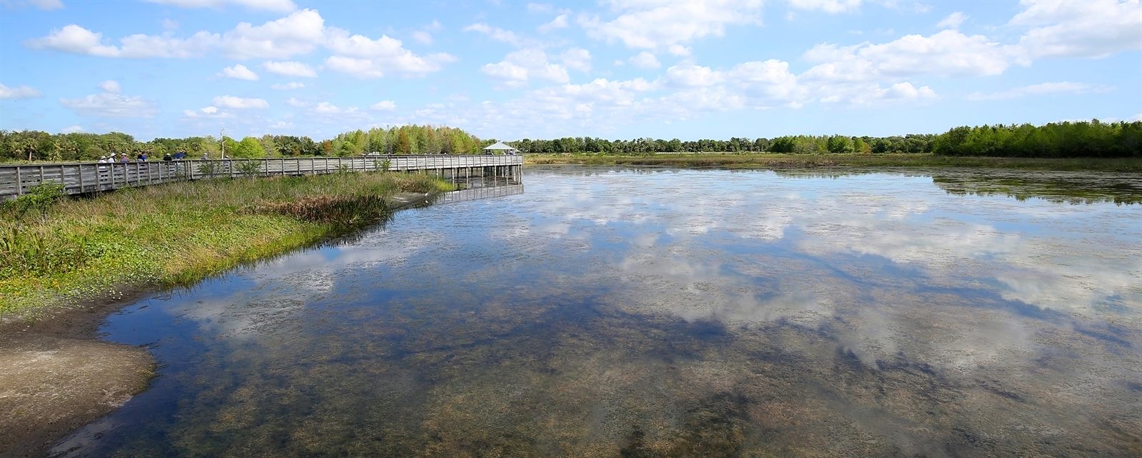 Calm marsh water reflecting white clouds, with a boardwalk and low trees along the far shore of a Florida wetland