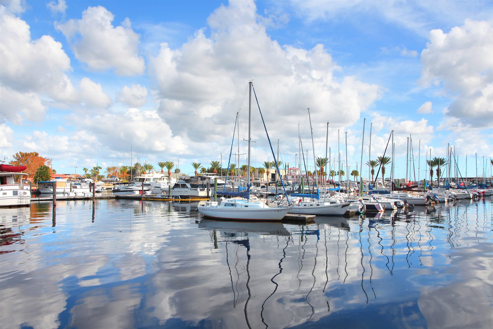 Sailboats moored in the Sanford marina on Lake Monroe, their masts reflected in the still water under puffy clouds